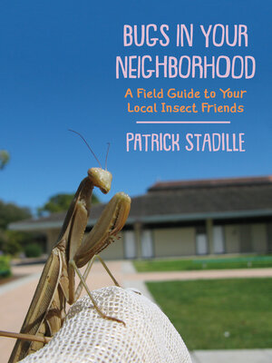 cover image of Bugs in Your Neighborhood